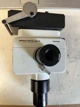 Load image into Gallery viewer, 47811502
